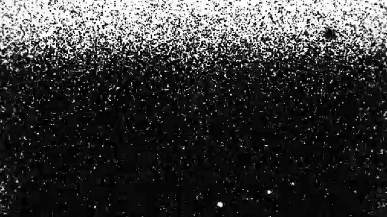 Against Me! Two Coffins Animation