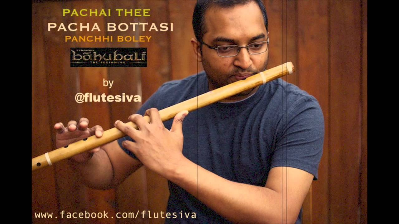 Pacha Bottasi | Pachai Thee | Bahubali  - Flute Instrumental by Flute Siva