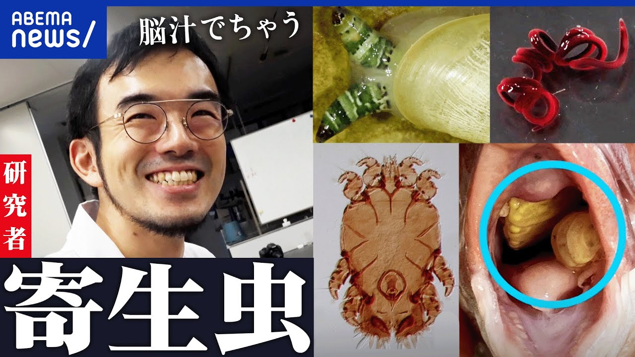 【パラサイトする恐怖？】寄生虫の魅力に寄生された研究者が熱弁！摩訶不思議な生態と生存戦略｜アベプラ
