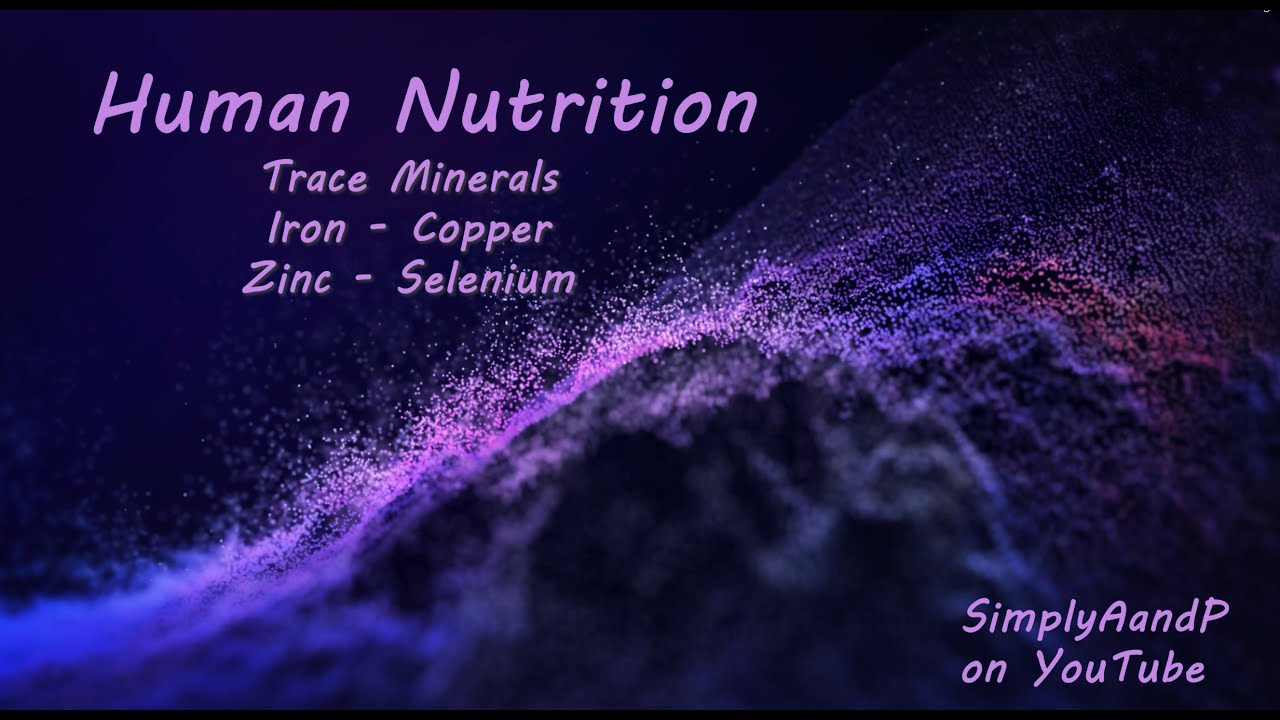Trace Minerals- Iron, Copper, Zinc and Selenium