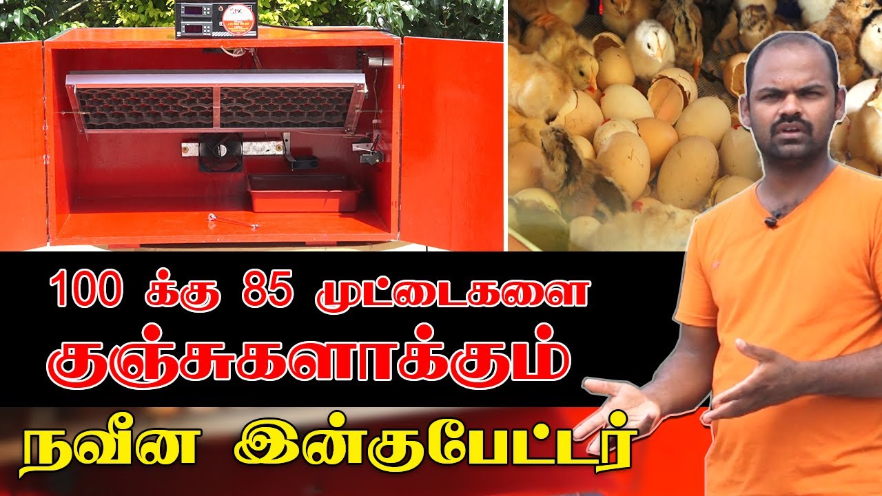 பல வகை நவீன இன்குபேட்டர்கள் ஒரே இடத்தில் ! | Automatic EGG ROLLER Incubator | @MKINCUBATORSANDFARMS