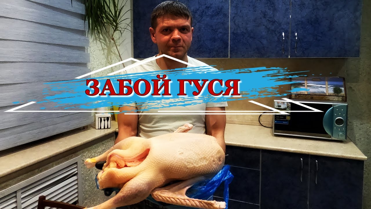Забой гуся в 5 месяцев. Конечный результат выращивания гуся. Жизнь в деревне.