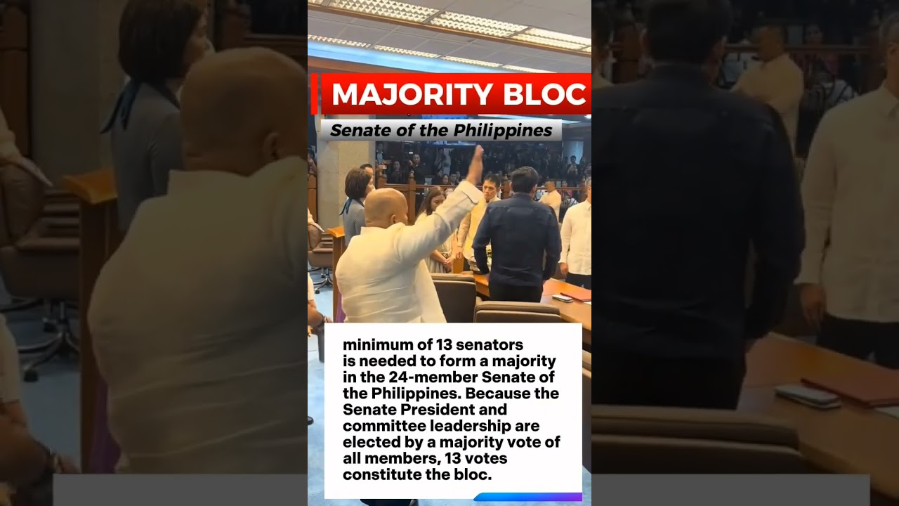 what to expect from the new Senate Majority bloc from the Philippines 😗😙😙