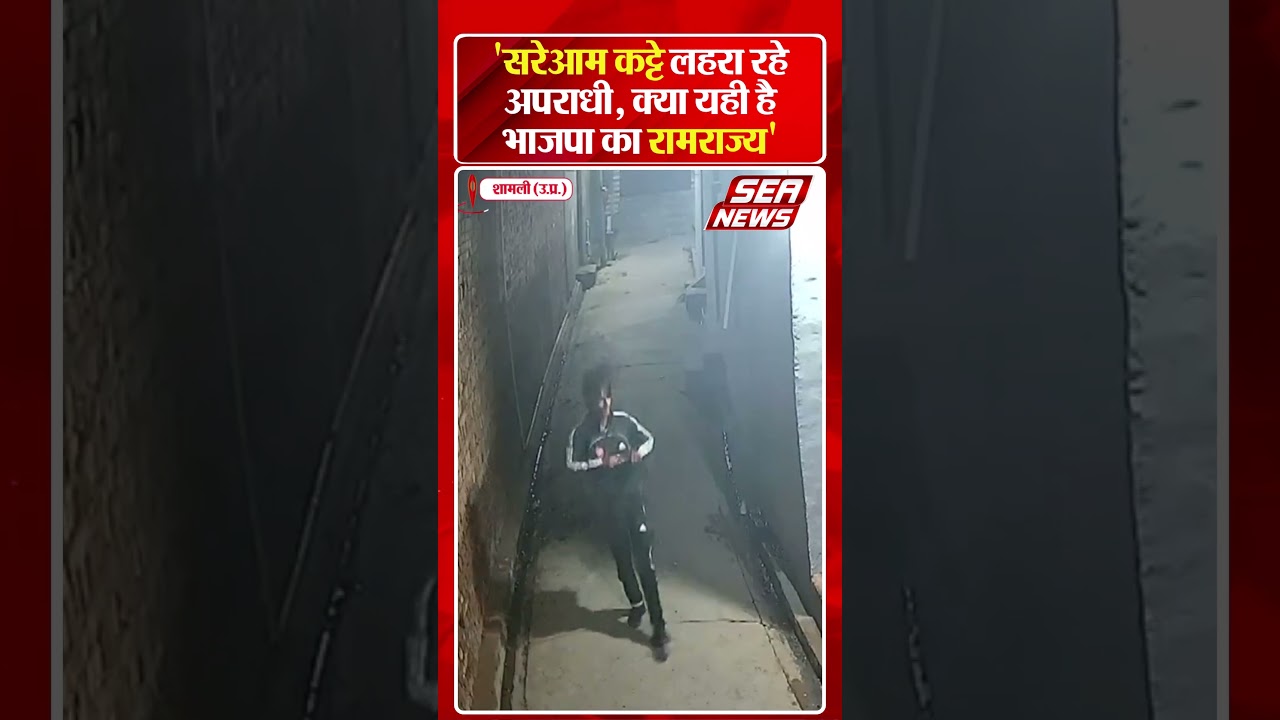 'सरेआम कट्टे लहरा रहे अपराधी, क्या यही है भाजपा का रामराज्य' | Shamli Crime | Political Attack