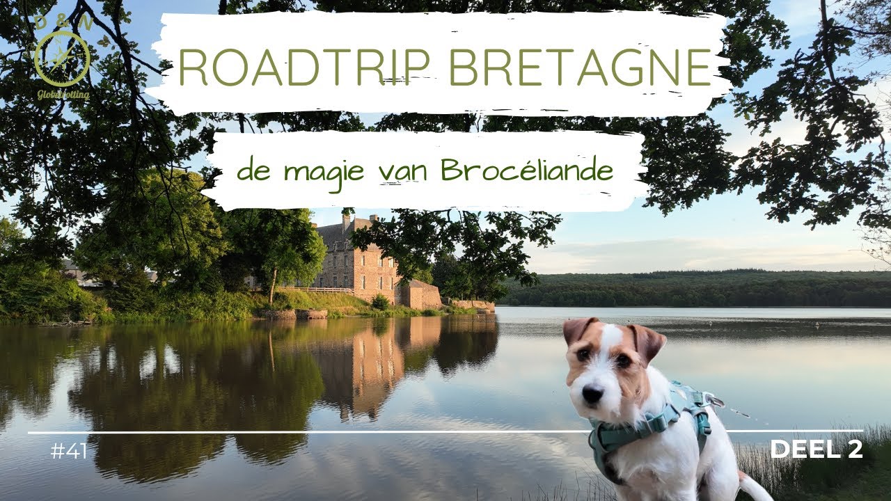 #41-NL 🇨🇵Roadtrip Bretagne  - de magie van Brocéliande per campervan -Camping municipal van Paimpont