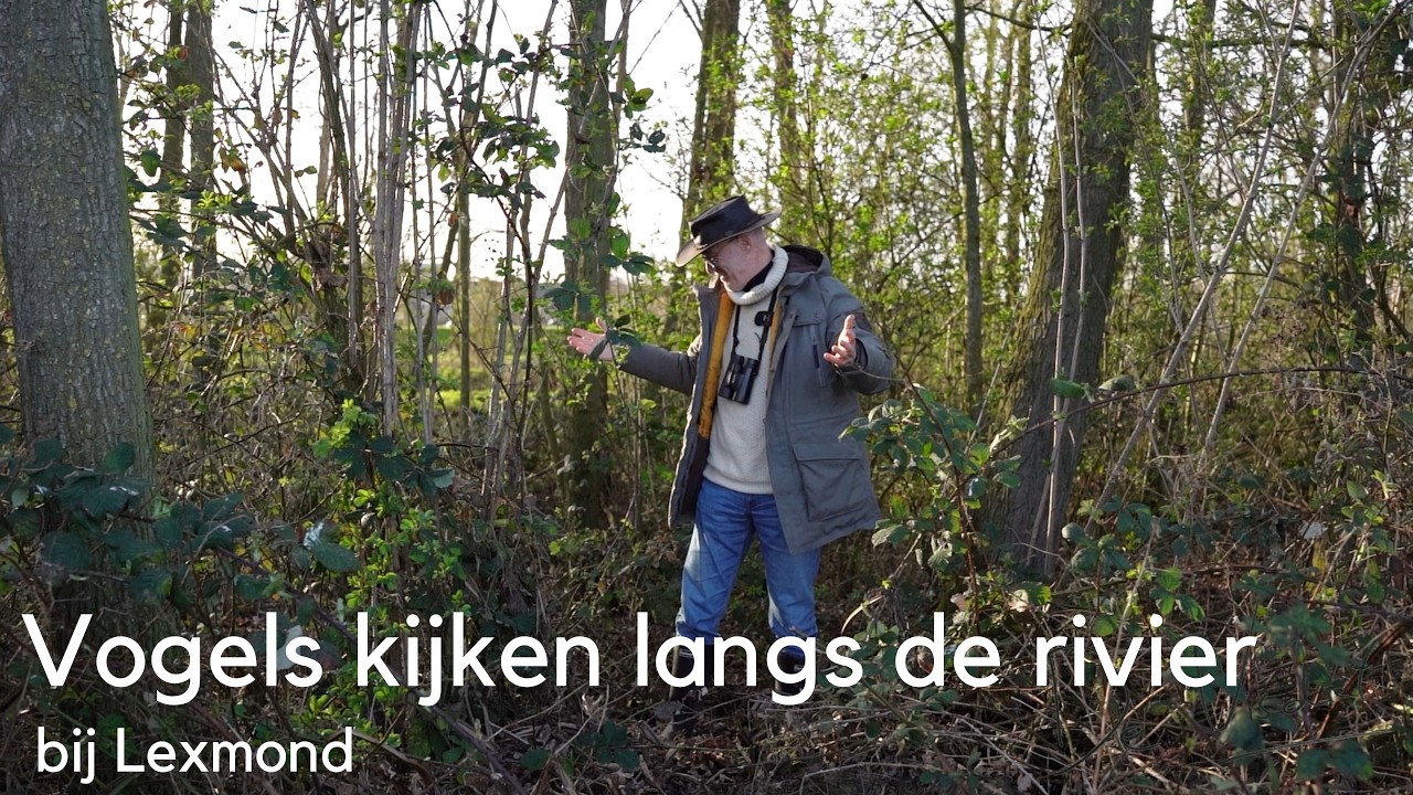 Vogels kijken langs de rivier bij Lexmond #1752