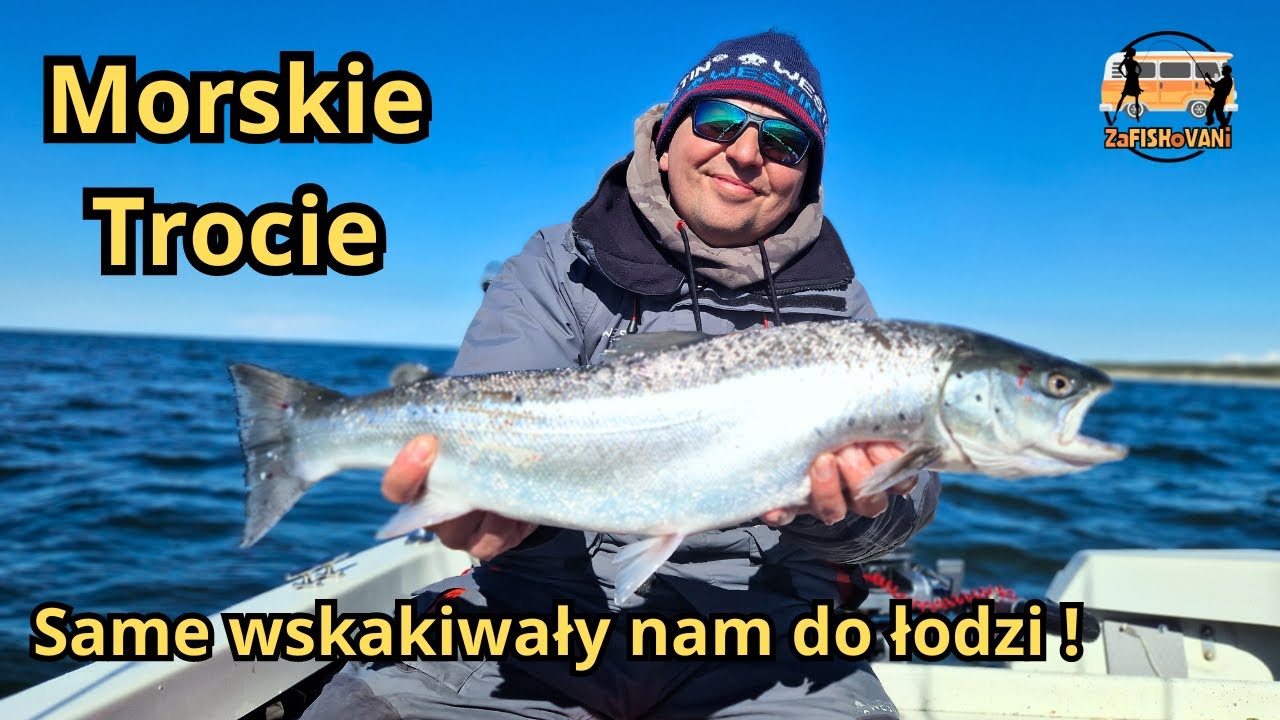 PIĘKNE MORSKIE TROCIE Z TROLLINGU [ DUŻO BRAŃ ]. ŁOWIMY Z ŁÓDKI NAD BAŁTYKIEM.