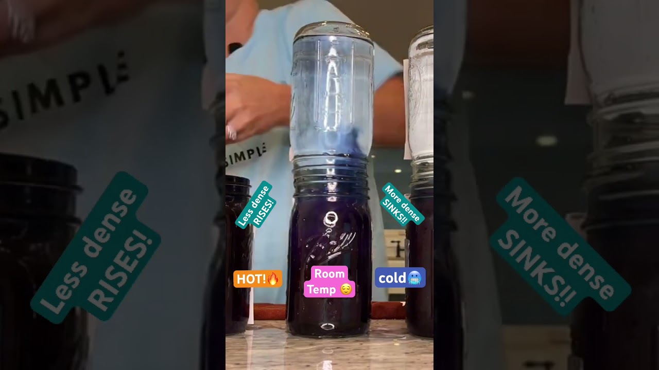 Hot water rises! Cold water sinks! #science #stem #scienceexperiment #diyexperiment #sciencefacts