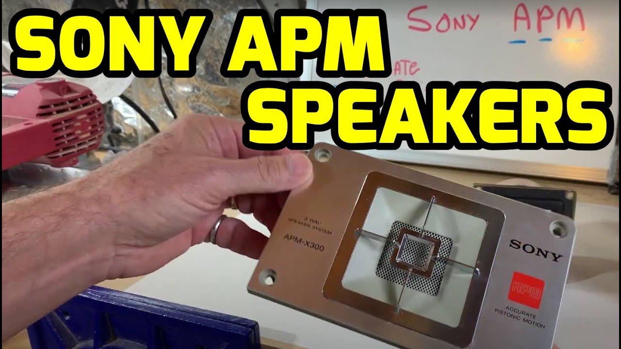 Sony APM-X300 Speakers. What's Inside? Honeycomb Planar Drivers !!!