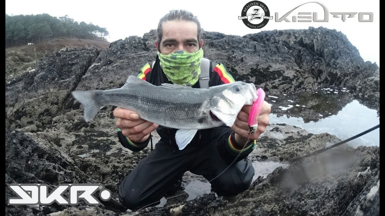 Pesca de lubinas a spinning con vinilo Kisuto 100 de YKR/Natural realistic softbaits(C&R).FHD