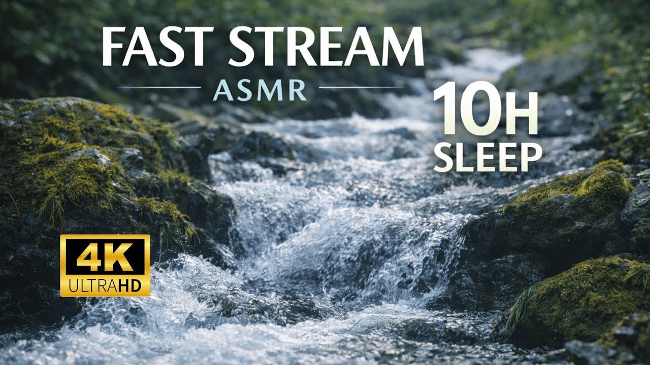 Fast Stream ASMR 10H 4K – Deep Relaxation, Sleep & Calm Mind
