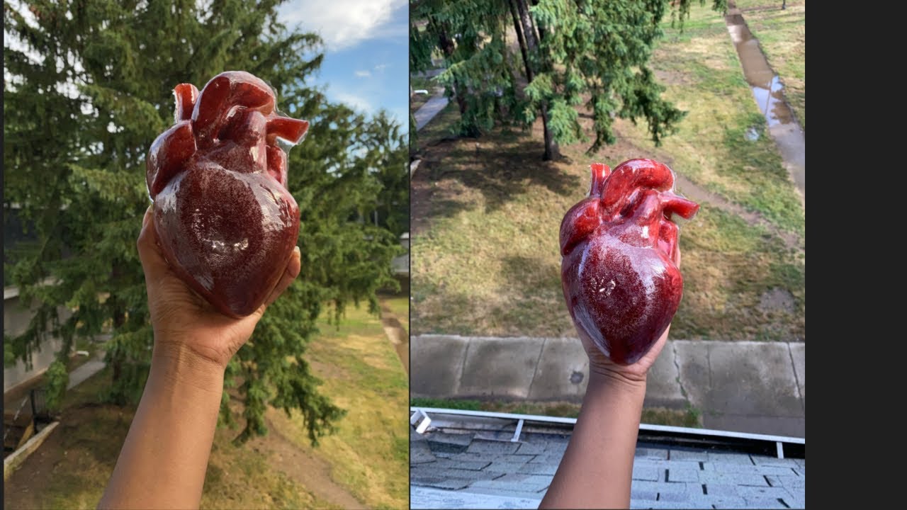 How To Make REALISTIC HEART 3D silicone mold
