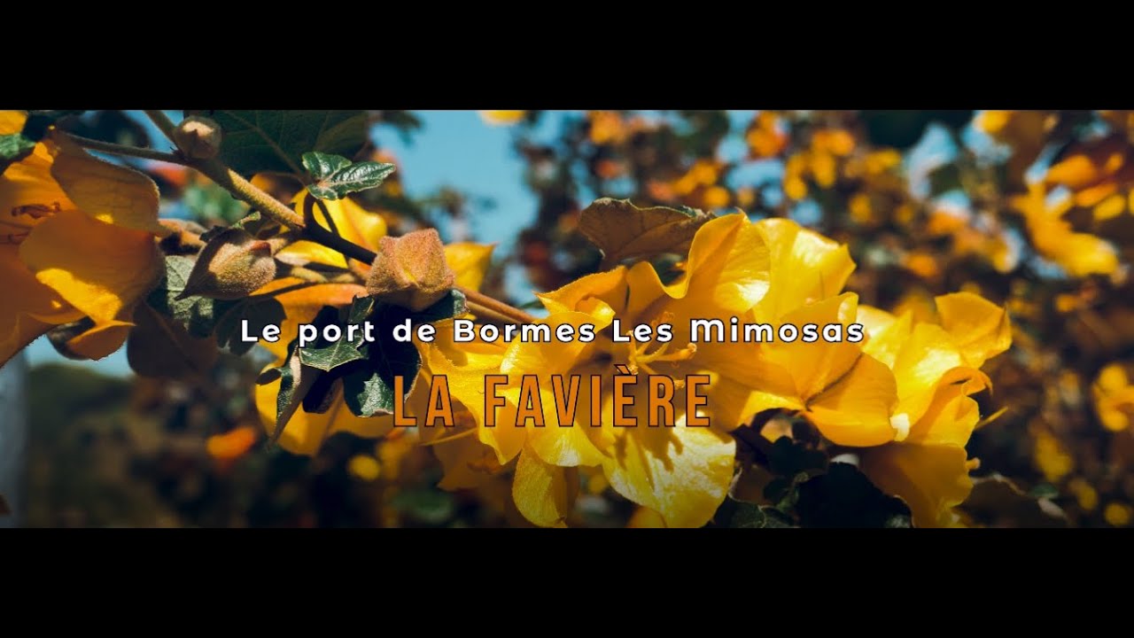 Le port de Bormes Les Mimosas (La Favière) (2021)