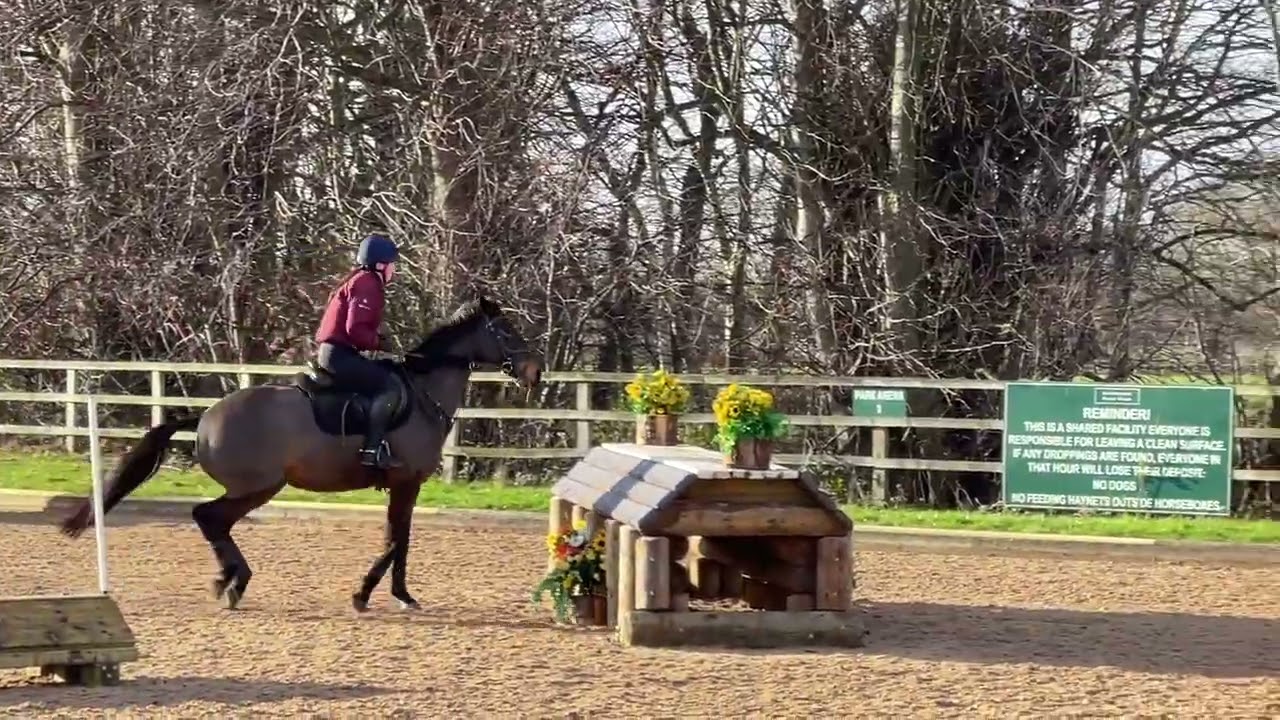 Gracie being awesome round the cross country