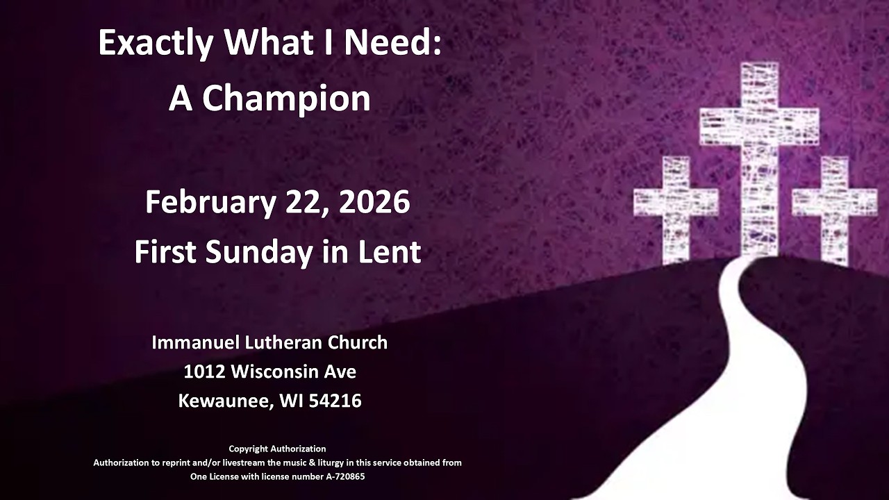 EXACTLY WHAT I NEED:  A Champion