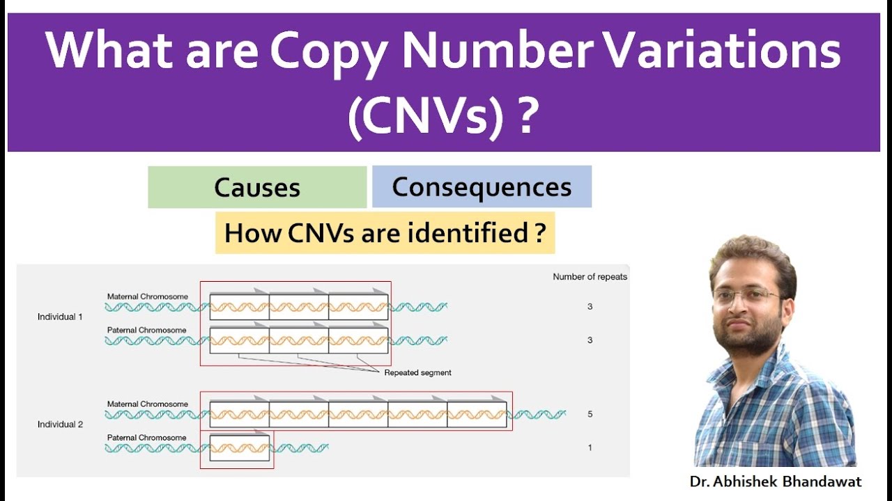 What is Copy number variation (CNV)? Copy number variation analysis in genome. Importance.