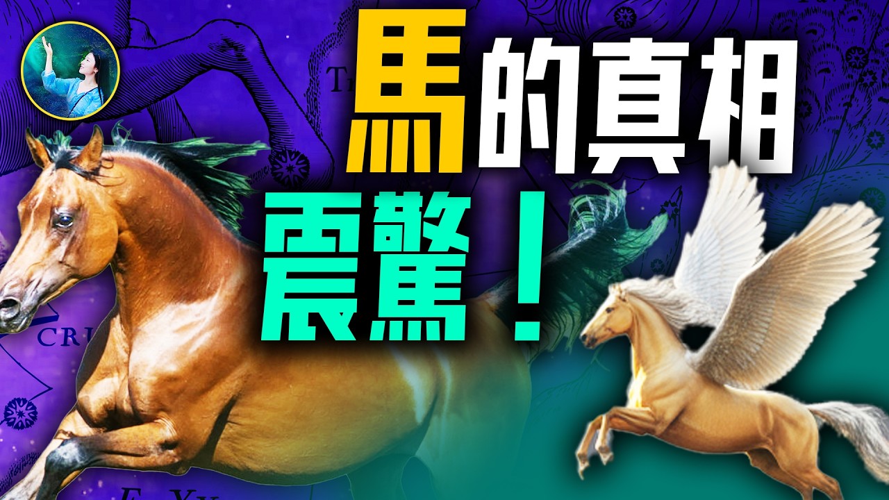 顛覆認知的馬真相｜神祕的上古神馬 震驚所有人！龍馬和伏羲河圖｜天馬和敦煌壁畫｜半人馬和天空中的星座 | #未解之謎 扶搖
