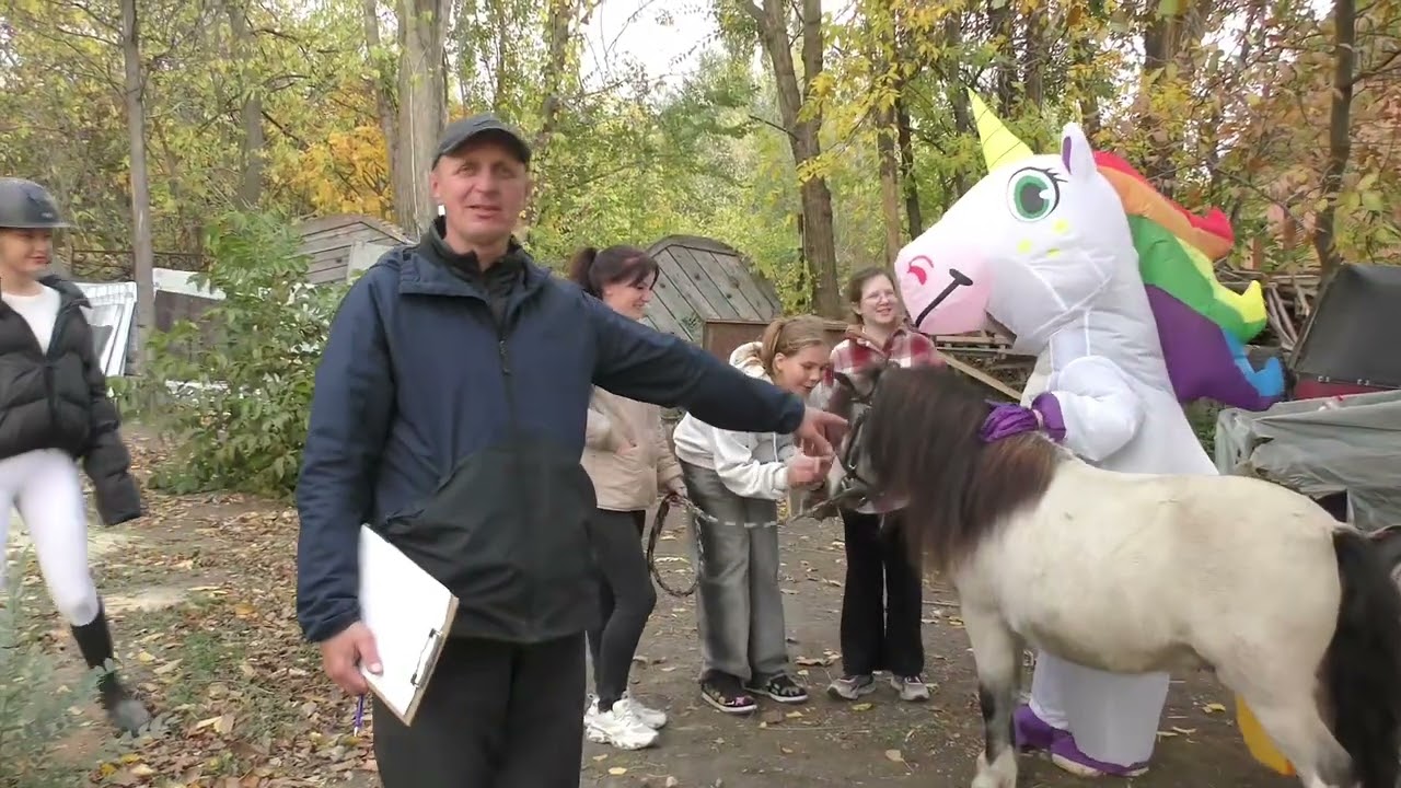 Обучение лошади. Соревнования#лошади 