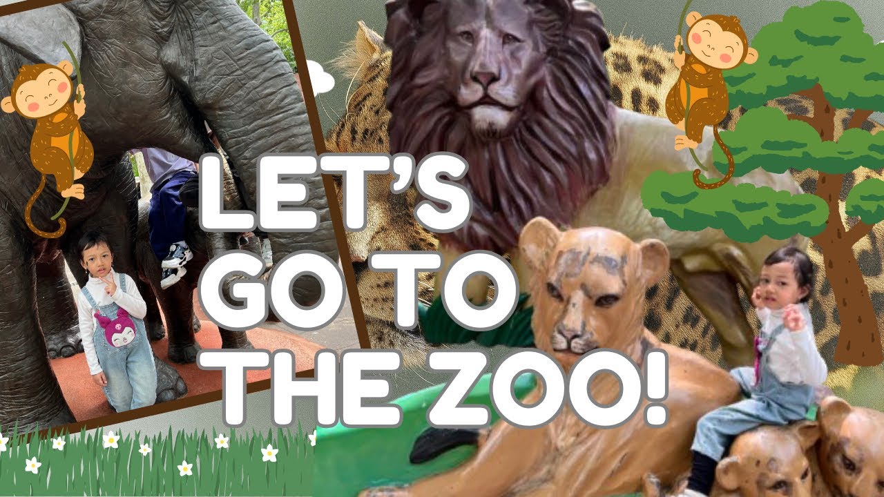 Shanghai Zoo Day with Kids! Meet Panda and so Many Cute Animals. Places to visit in shanghai