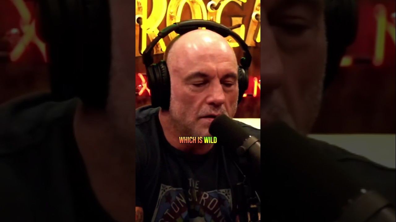 Operation Midnight Climax &ndash; The CIA&rsquo;s Craziest Experiment | Joe Rogan & Chase Hughes