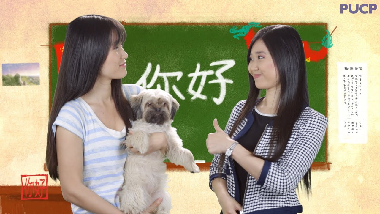 Nihao PUCP: Estos son los animales del zodiaco chino