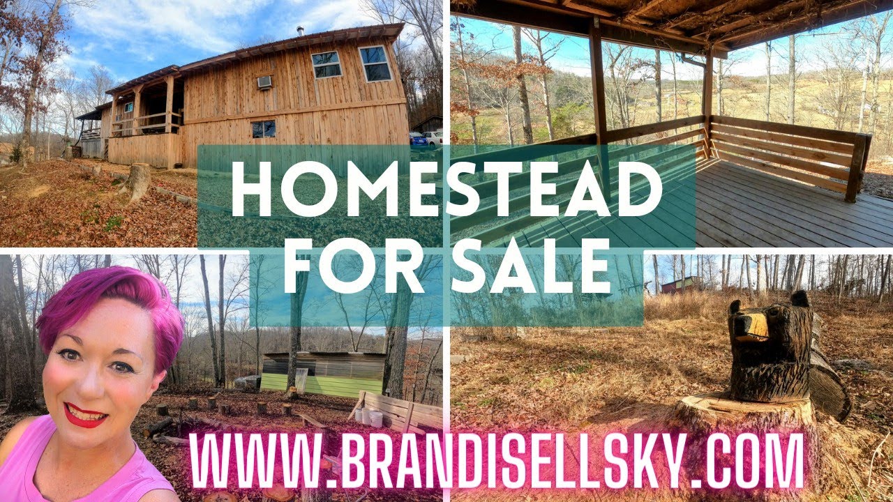Homestead for sale in London Kentucky. $220k