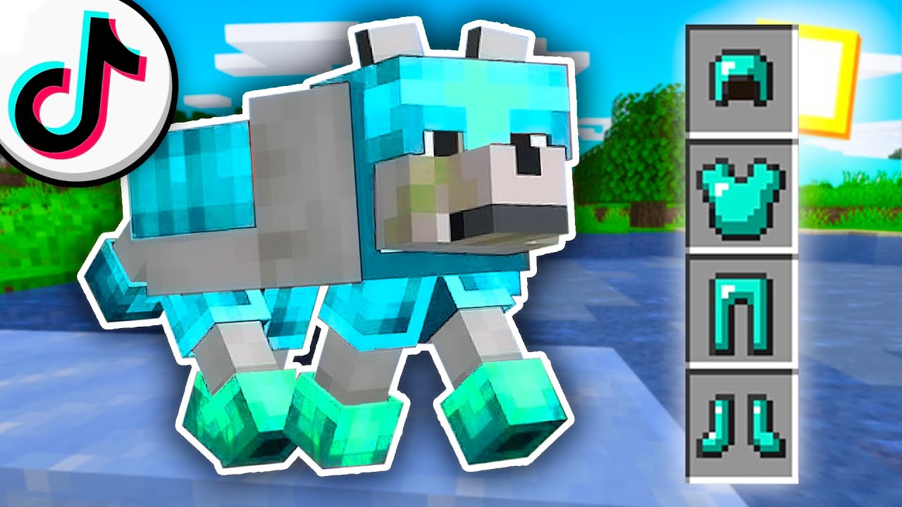 Minecraft LifeHacky které jsou PRAVDIVÉ
