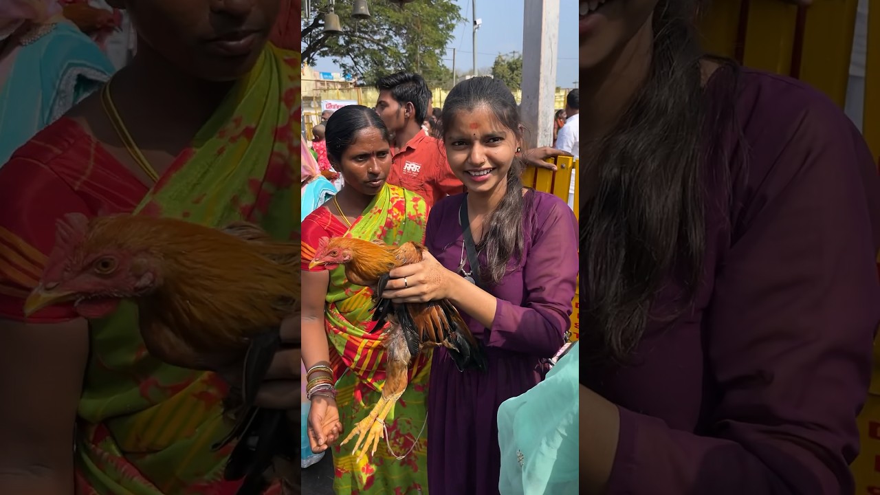 Medaram sammakka sarakka jatara 2024 #ytshort #medaramjatara2024