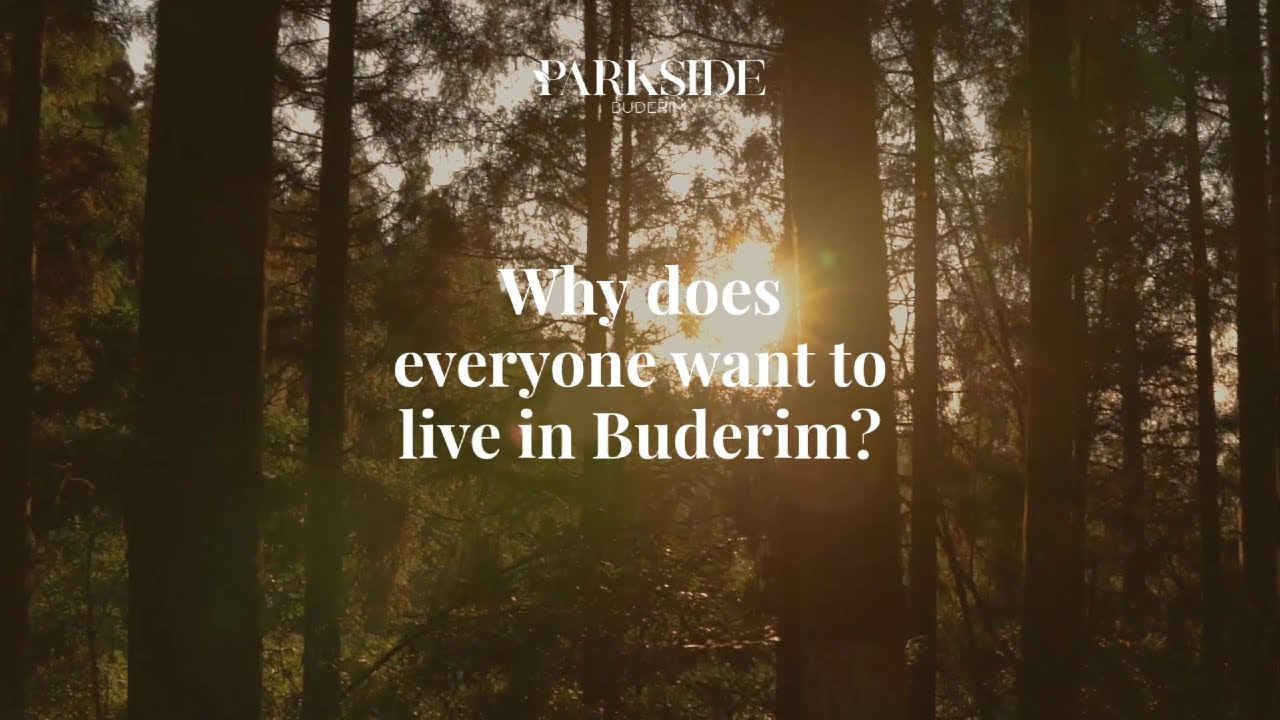 Thinking about the Sunshine Coast? Here&rsquo;s why so many people choose Buderim.