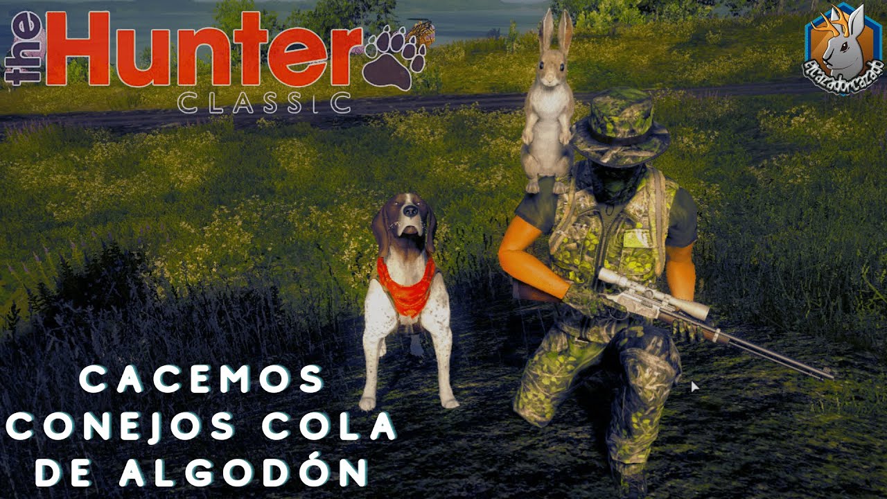 Cacemos conejos cola de Algodón / The Hunter Classic