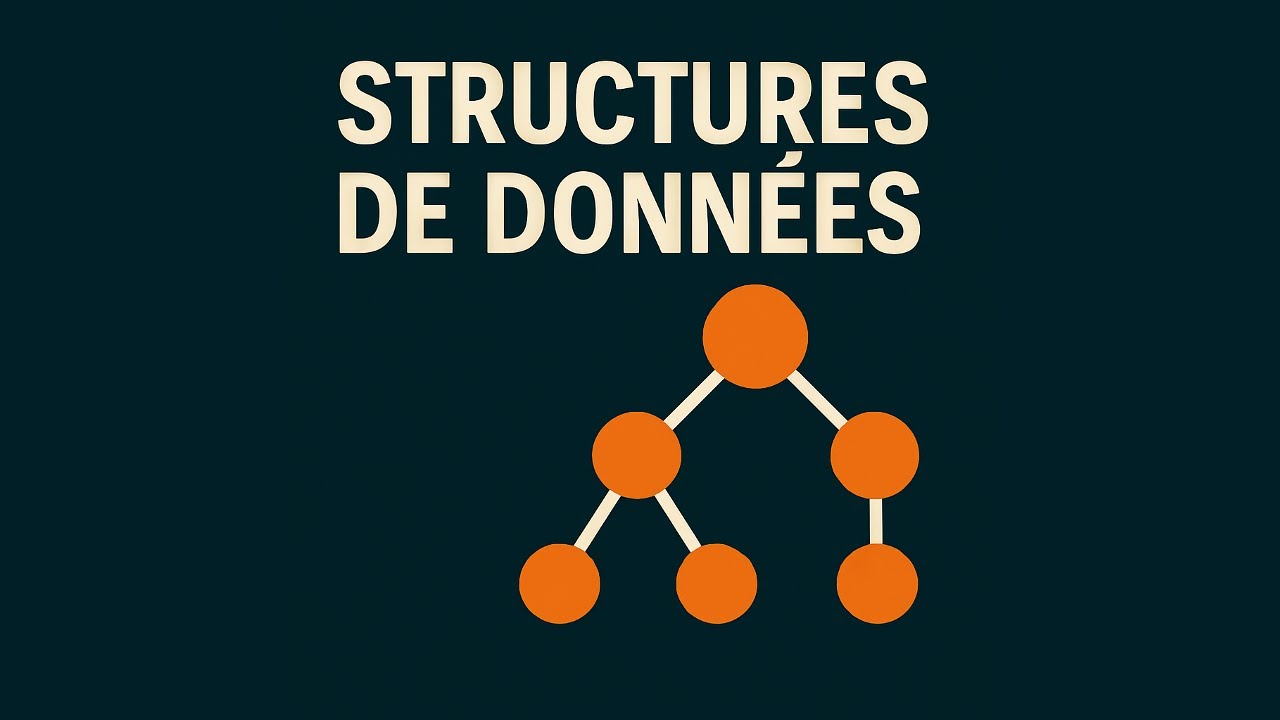 Qu'est-ce qu'une Structure de Donn&eacute;es ?