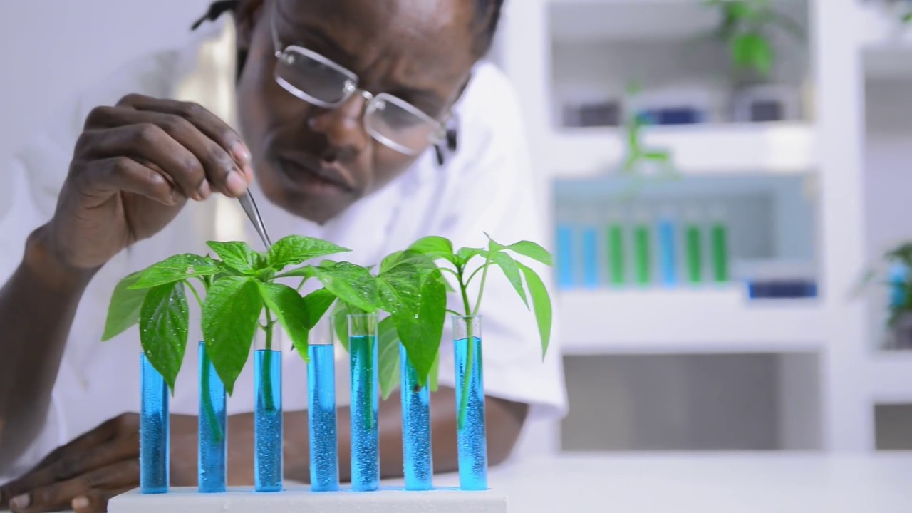 2017 Cannabis Science Conference expands to the Oregon Convetion Center