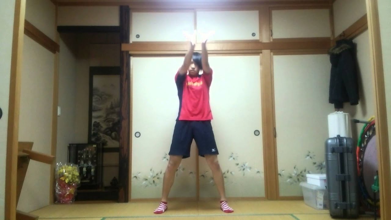 【ガオたいが】AKB48 僕たちは戦わない 踊ってみた♪