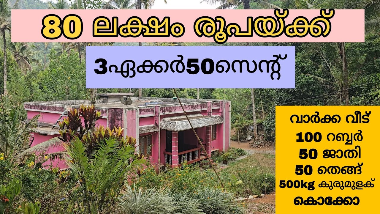 80 ലക്ഷം രൂപയ്ക്ക് 3ഏക്കർ50 സെൻ്റ് സ്ഥലം വില്പനയ്ക്ക് #forsale #realestate