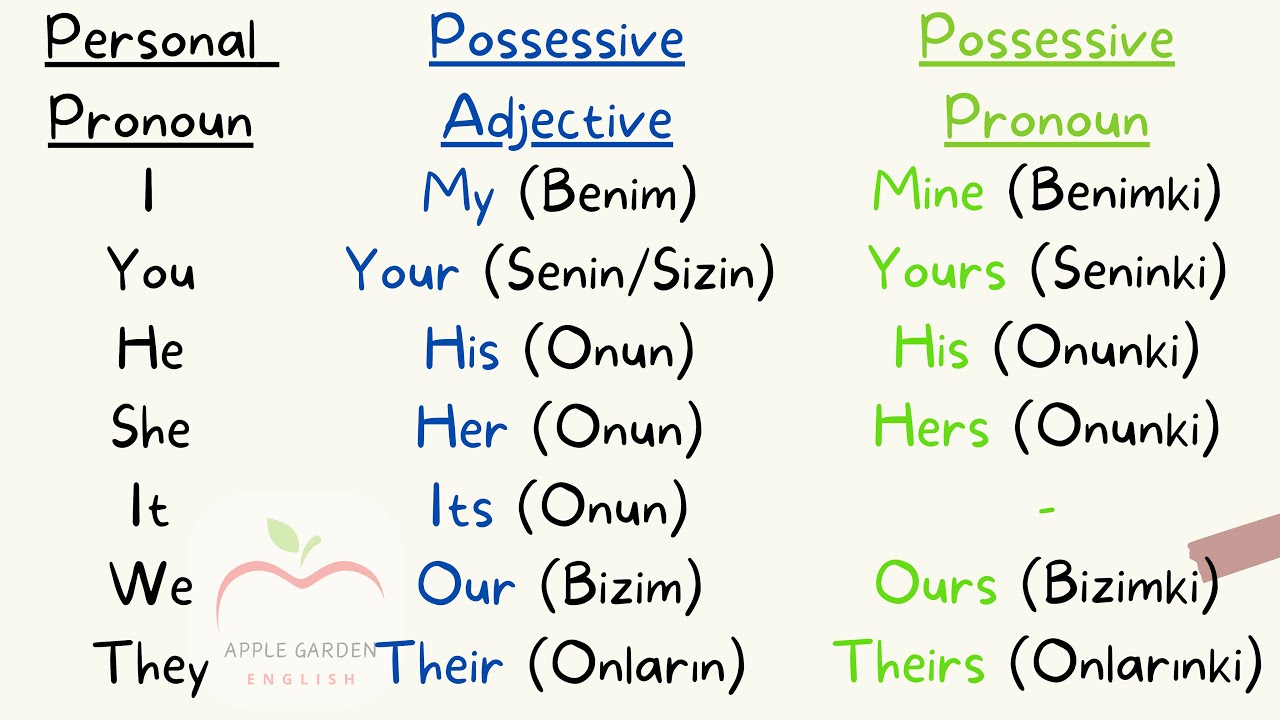 8.Bölüm | Possessive Adjectives & Pronouns | Sahiplik Sıfatları & Zamirleri