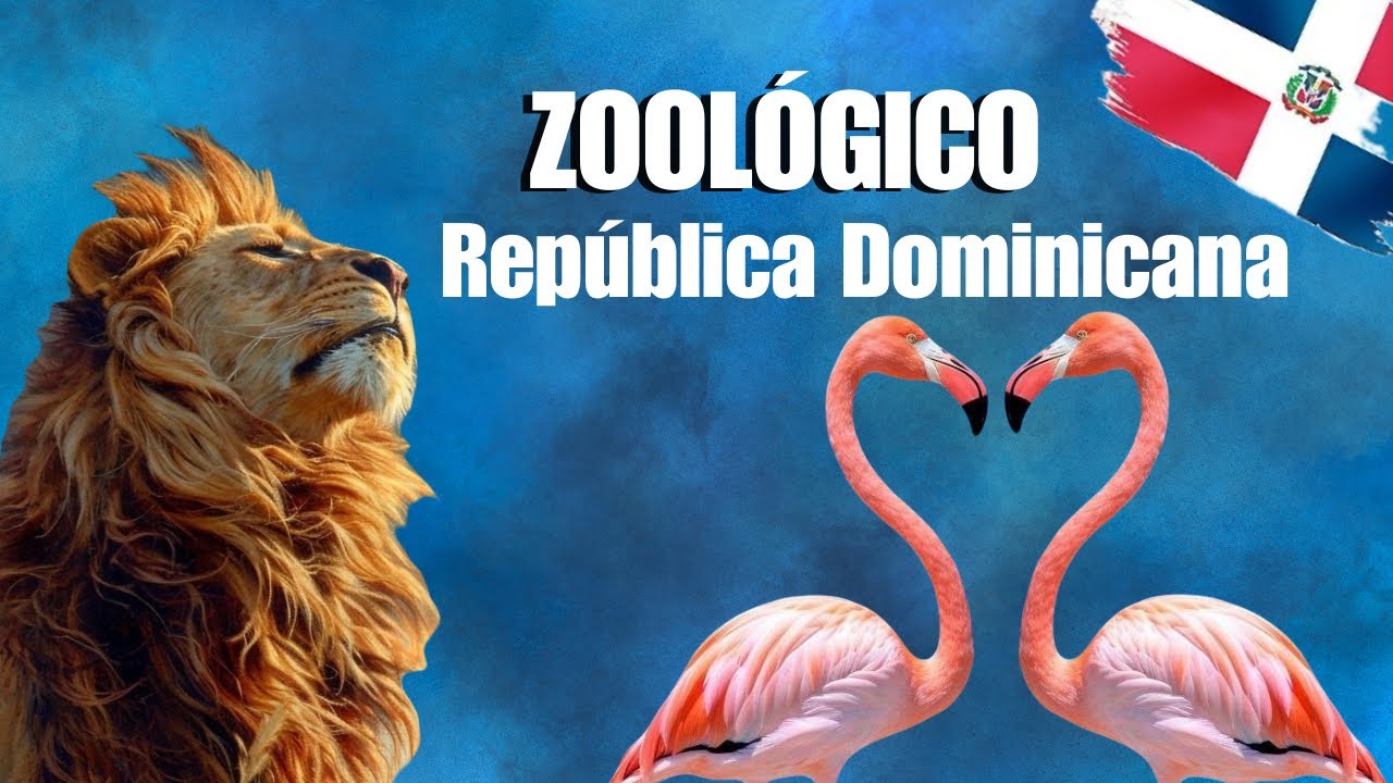 Zoologico Nacional de Santo Domingo: Un recorrido Salvaje