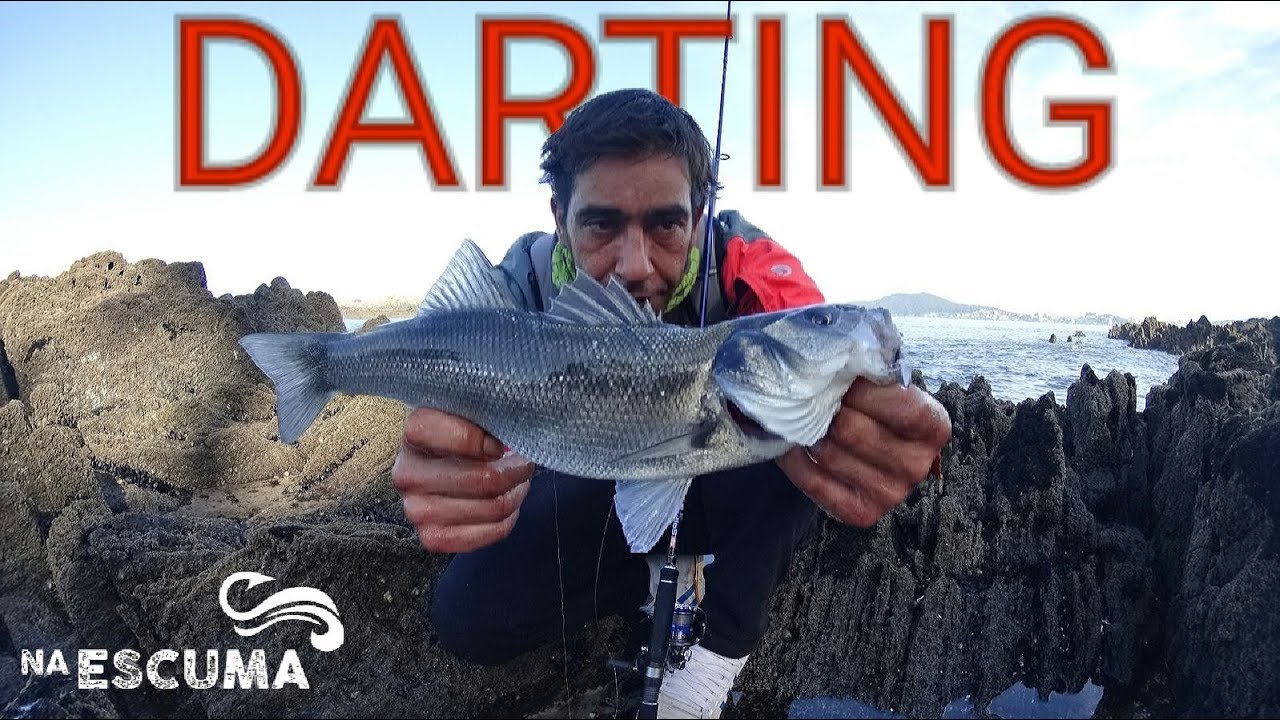 Buscando LUBINAS practicando DARTING a light ROCKFISHING | &iexcl;Pesca FACIL y EFECTIVA!.FHD