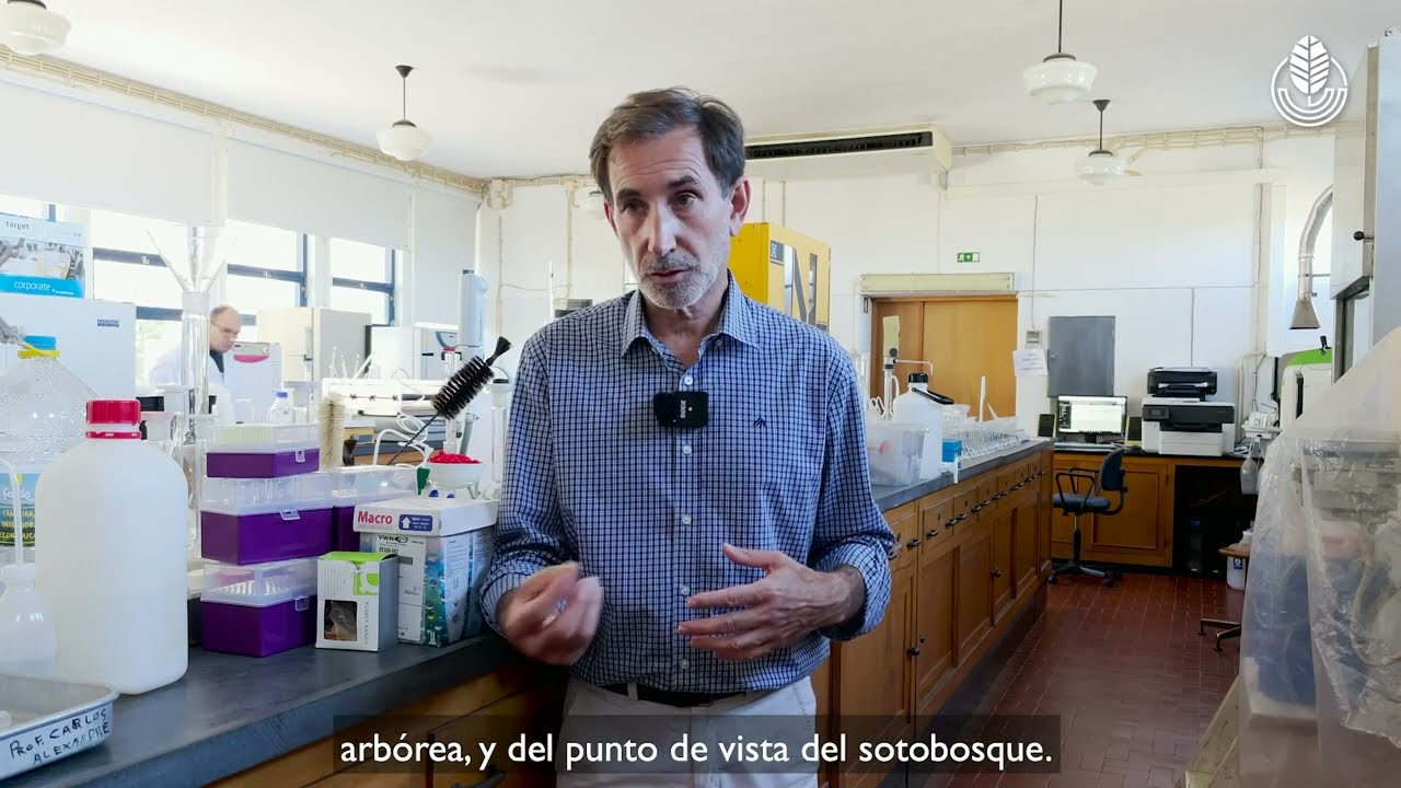 32. Análise aos solos | Análisis de suelo