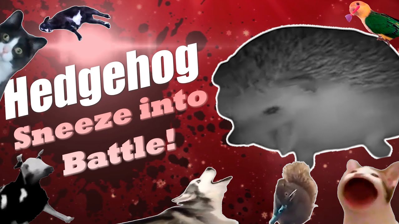 Everyone Joins The Battle! (Meme edition)