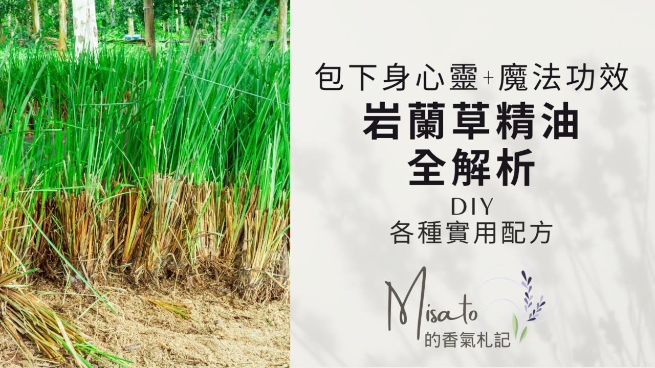 岩蘭草精油九大功效~其實是有十個，功效囊括身心靈三界啊！