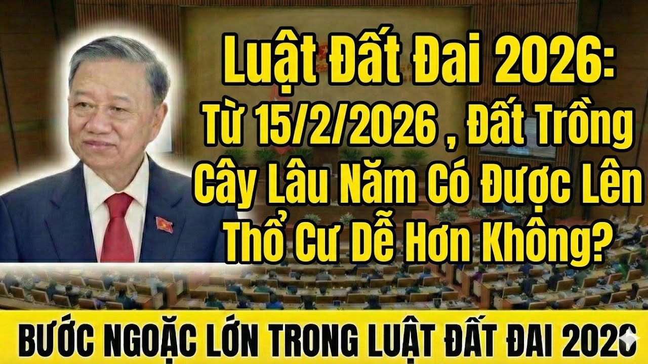 Luật Đất Đai 2026: Từ 15/2/2026, Đất Trồng Cây Lâu Năm Có Được Lên Thổ Cư Dễ Hơn Không?
