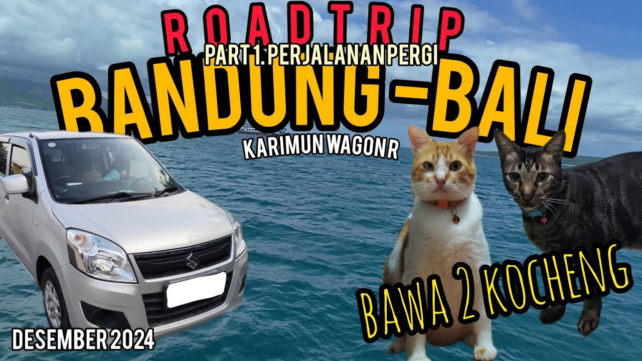 ROAD TRIP BANDUNG-BALI BERSAMA 2 KUCING KIMOY&MBUL PAKAI KARIMUN WAGON R  | part 1. PERJALANAN PERGI