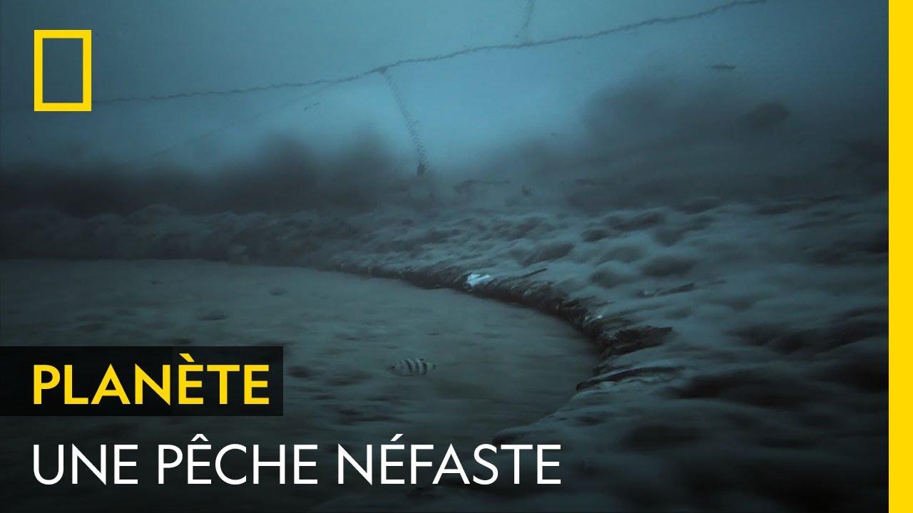 La p&ecirc;che industrielle nuit &agrave; l'environnement mais aussi aux habitants des c&ocirc;tes