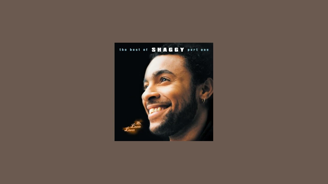 shaggy - boombastic (sting remix) (sped up)