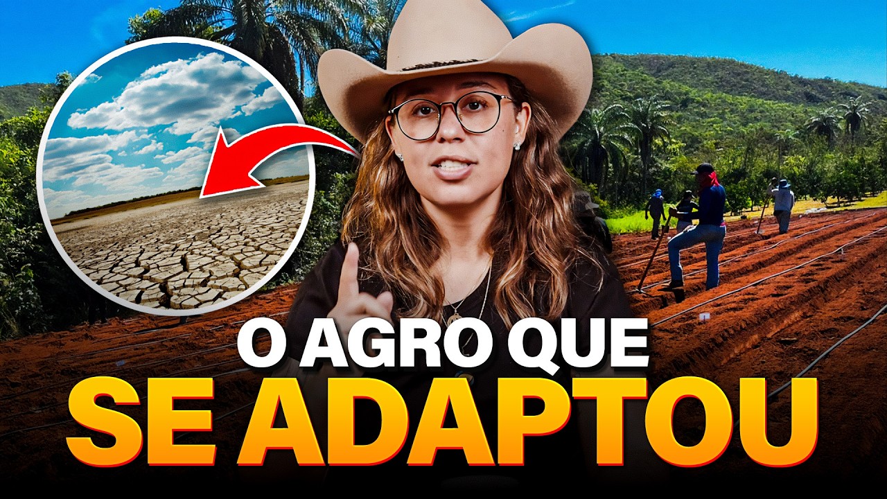 JEQUITINHONHA: ONDE O AGRO APRENDEU A PRODUZIR COM POUCA CHUVA