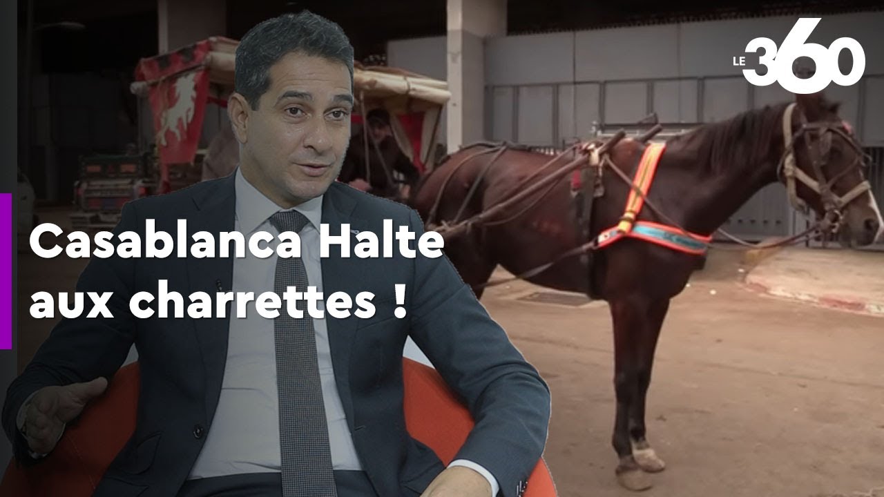 Ahmed Afilal: «Nous pensons à des solutions équitables pour les propriétaires des charrettes»