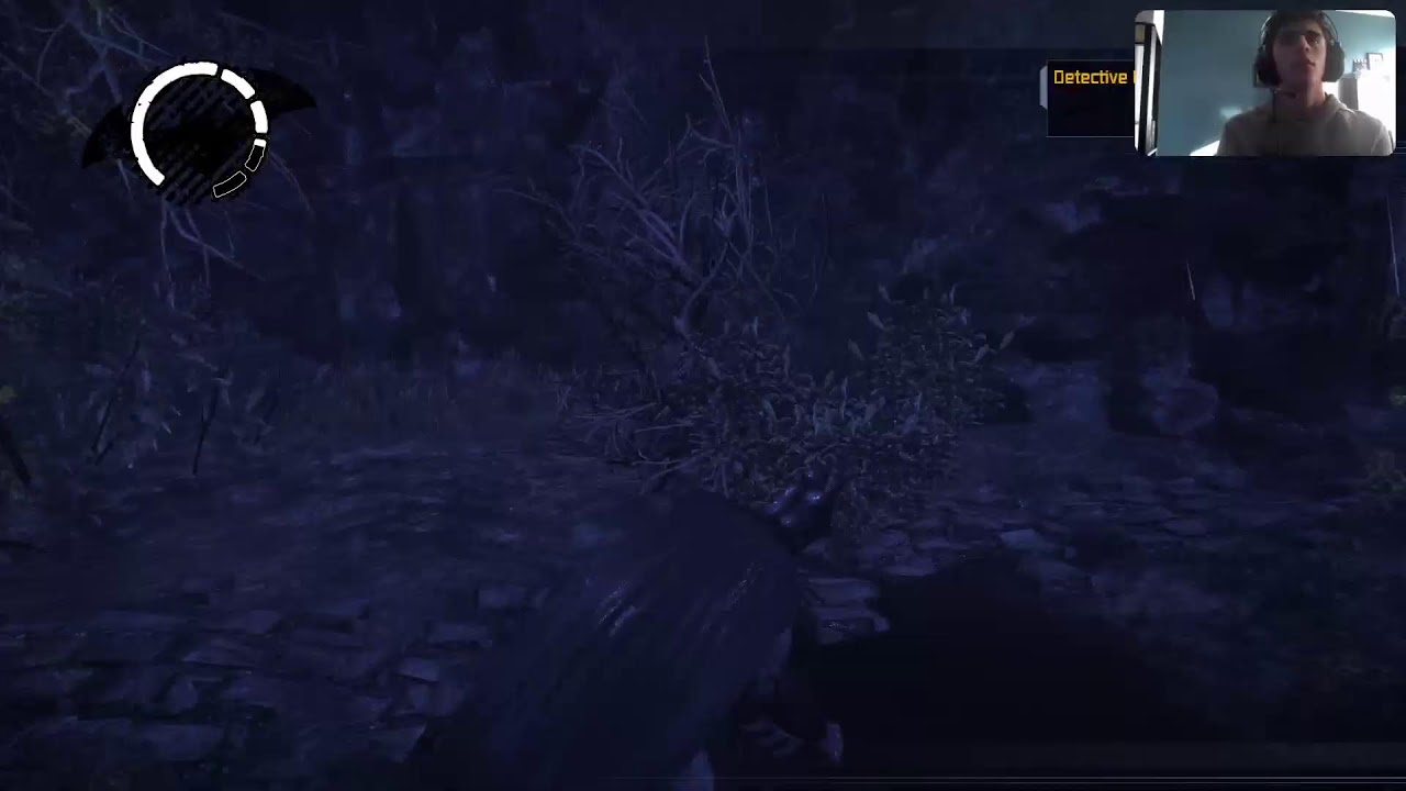 Batman arkham asylum platnium run