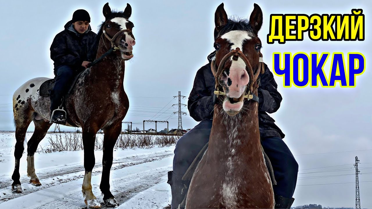 ӨЗ Ээсин ТАПТЫ 16.02.2022