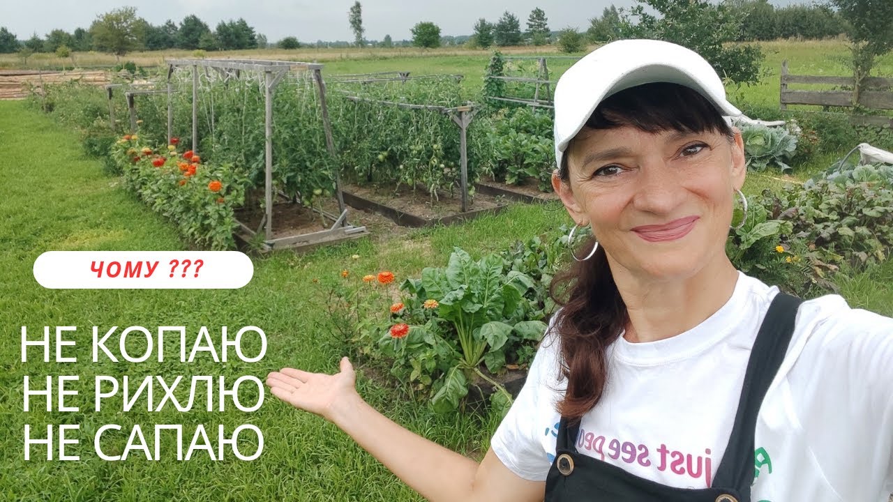 ЗАБУЛА про  лопату та сапку! Мій 