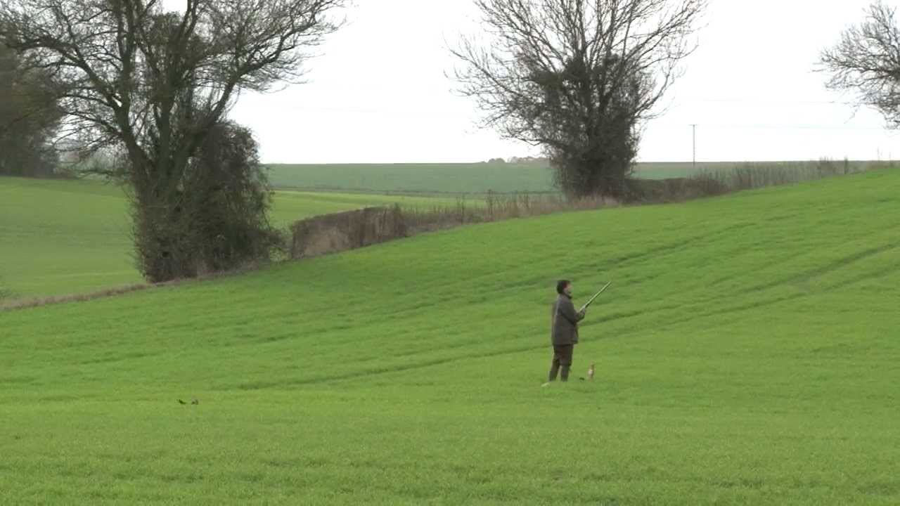 Pheasant shooting at the much-loved Valley Shoot in Kent